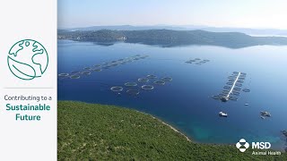 Sustainable Solutions for Aquaculture