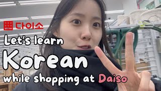 Learn Korean While Daiso Shopping  Comprehensible Korean Input For Intermediate 