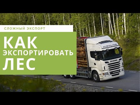 ЕГАИС | Экспорт леса | Сложный экспорт