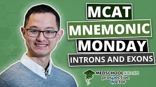 MCAT Mnemonic: Introns and Exons (Ep. 7)
