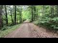 Прогулка в лесу в Оденвальде. Waldspaziergang im Odenwald.