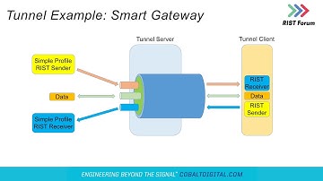 RIST Forum at IBC2019: RIST Main Profile Description