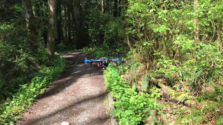 Autonomous Drone Flight Over 1 Kilometer Forest Trail