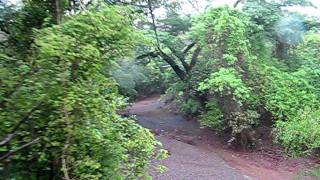Costa Rica 241.AVI