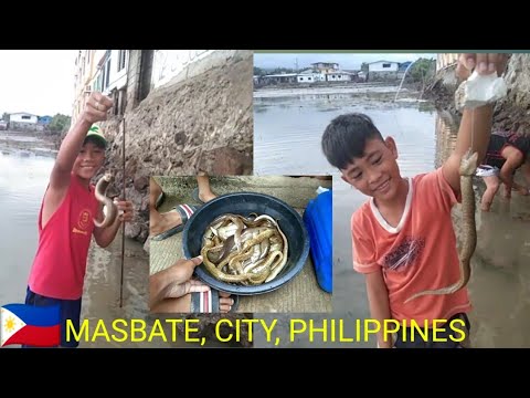 Video: Paano Mahuli Ang Bream