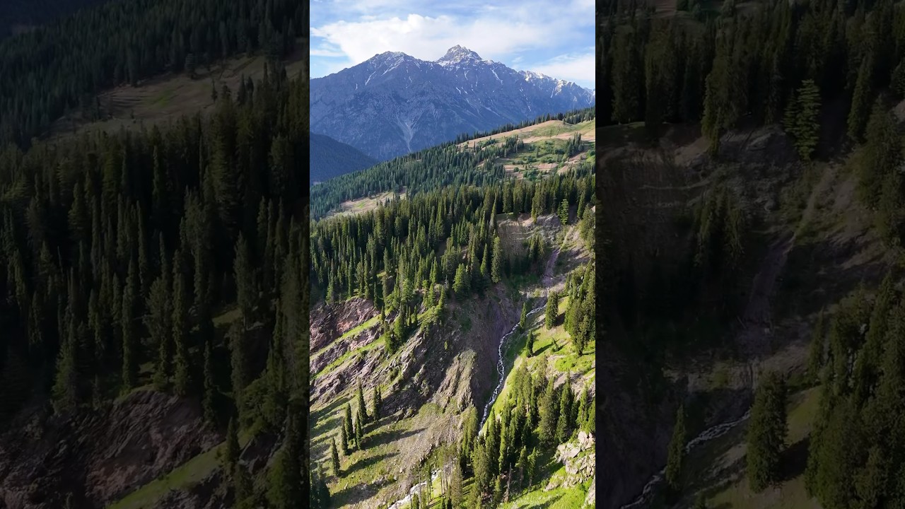 Laddu , Utror - Swat Valley