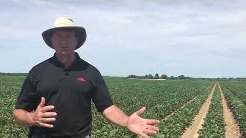 Engenia® Herbicide Application Tip #2 - Boom Height
