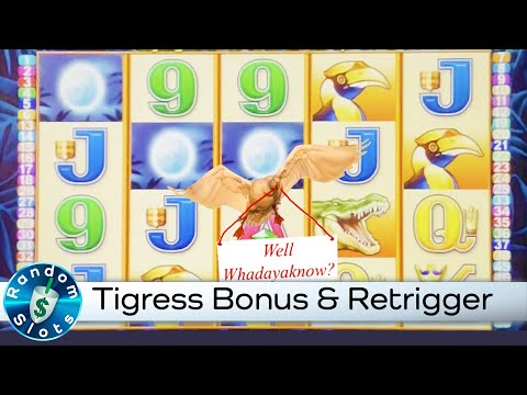 Tigress Slot Machine Bonus and Retrigger