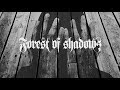 Capture de la vidéo Forest Of Shadows - Drowned By Guilt (Official Music Video)