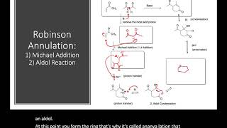 Robinson Annulations