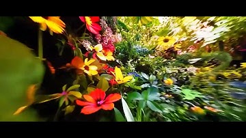 AI Digital Marketing Agency - Matrix Marketing Group