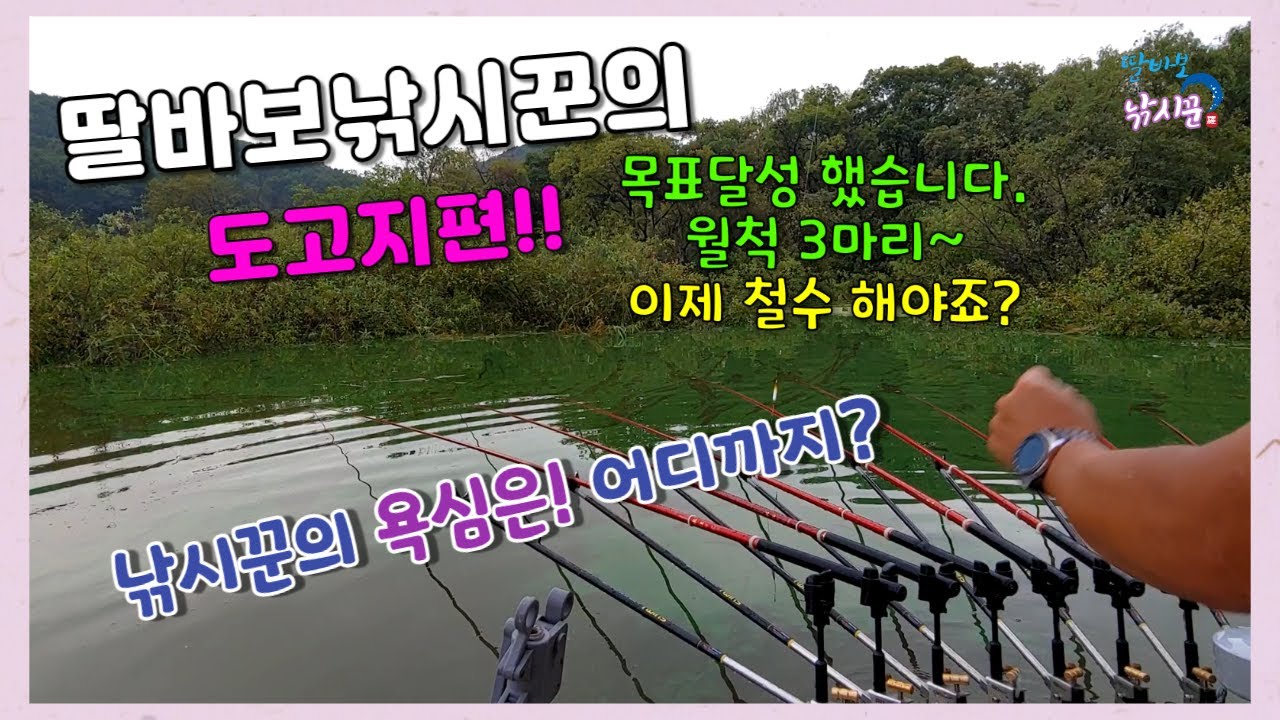 아산 도고지 오름수위!! 아침장 월척붕어 파티~~