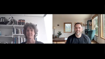 Decentralized Autonomous Organizations (DAOs): Voting, governance, and lessons from history