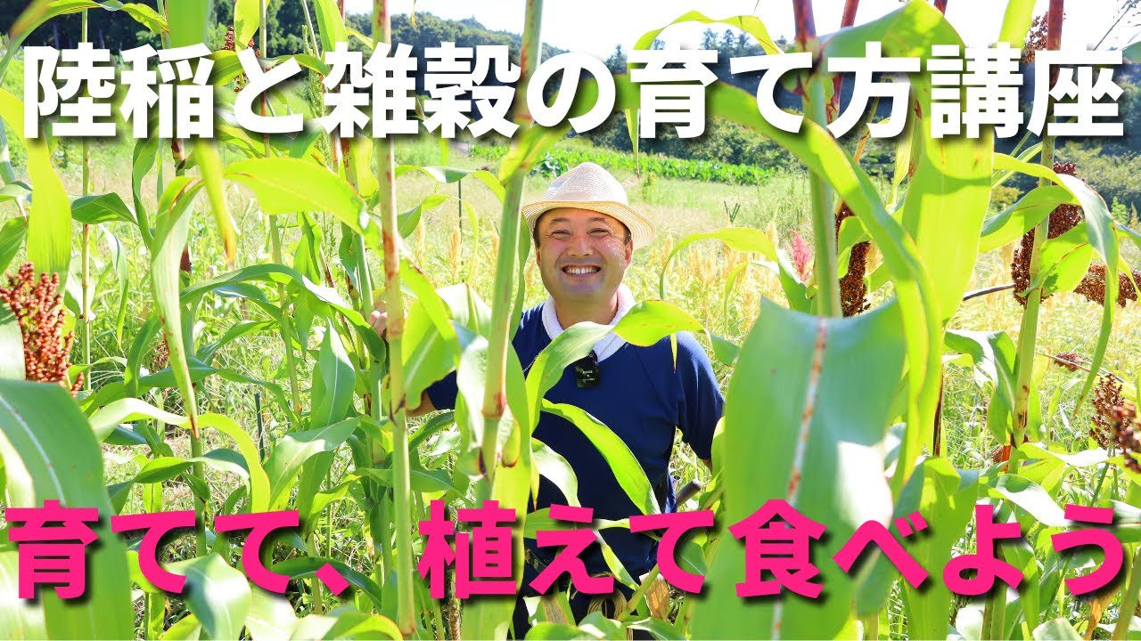 【対談】これならできる！？　陸稲と雑穀について熱く語る