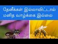 Seeman|ஒரு முறை கேளுங்கள் அசந்துடுவீங்க