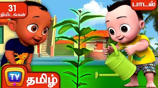 செடி வளர்ப்போம் ( Chedi valarpom ) Collection - ChuChu TV Baby Songs Tamil - Rhymes for Kids