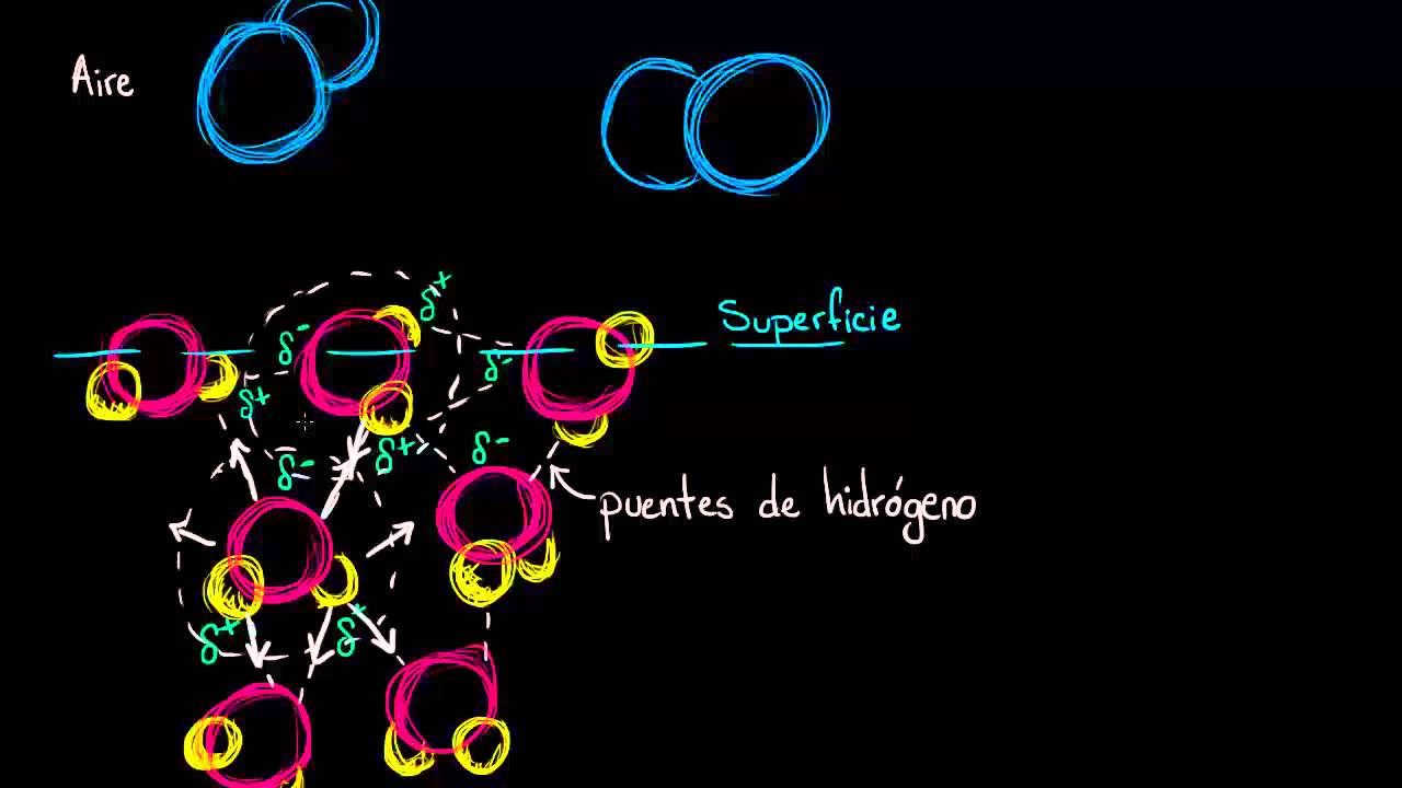 Tensión superficial | Agua, ácidos y bases | Biología | Khan Academy en Español matemática e suas tecnologias