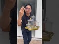 Toples lucu dari dejavu toples 2025 nih