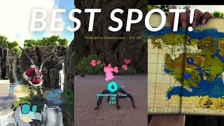 Sinomacrops Taming Guide // BEST Spawn Location