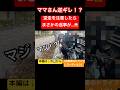 【衝撃映像】逆走ママチャリに注意したら開き直りやがった😱