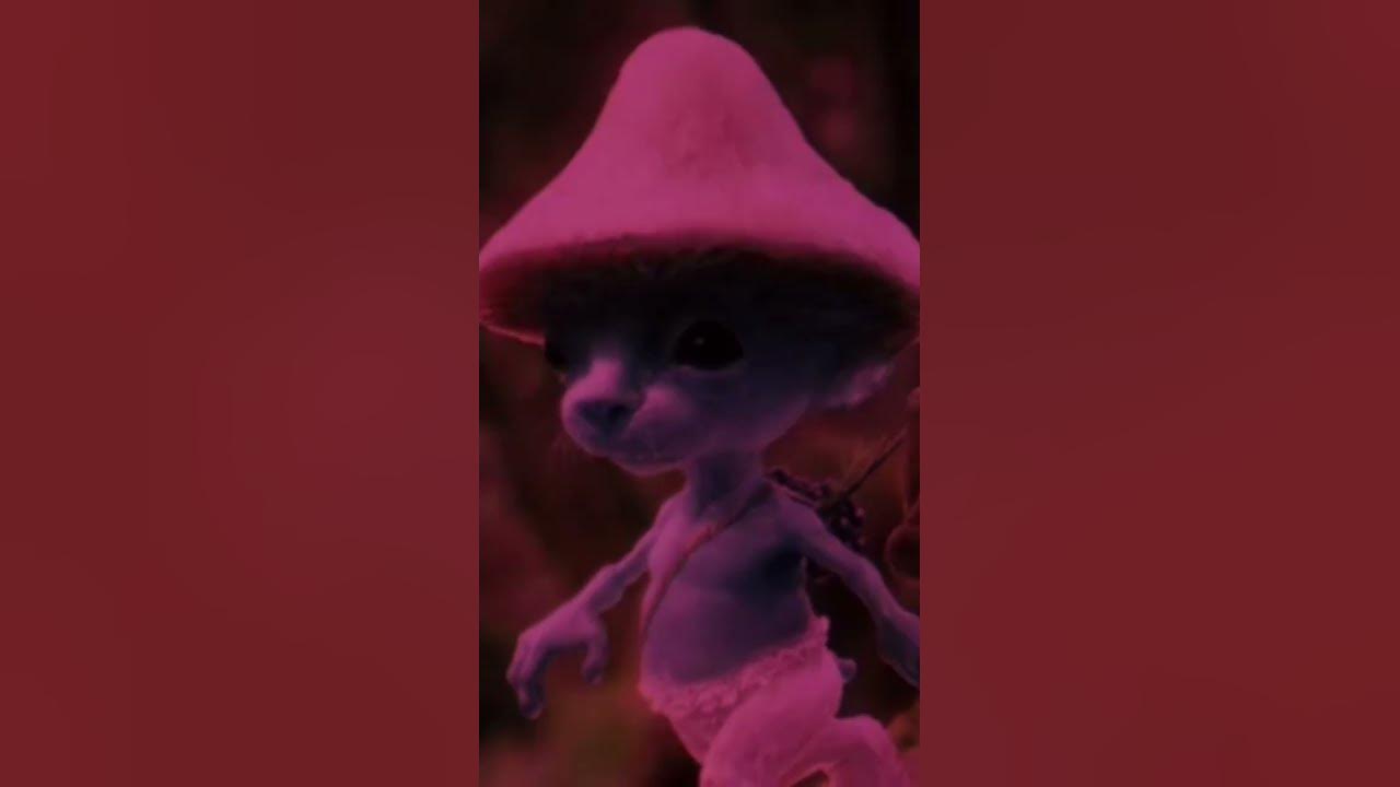 шалушай - YouTube