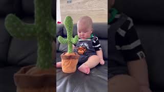 Little Babies Cry After Seeing Their Cactus Toy 1St Time
