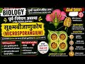 Microsporongium class 12/class 12 biology chapter 1sexual reproduction in flowering plants#biology