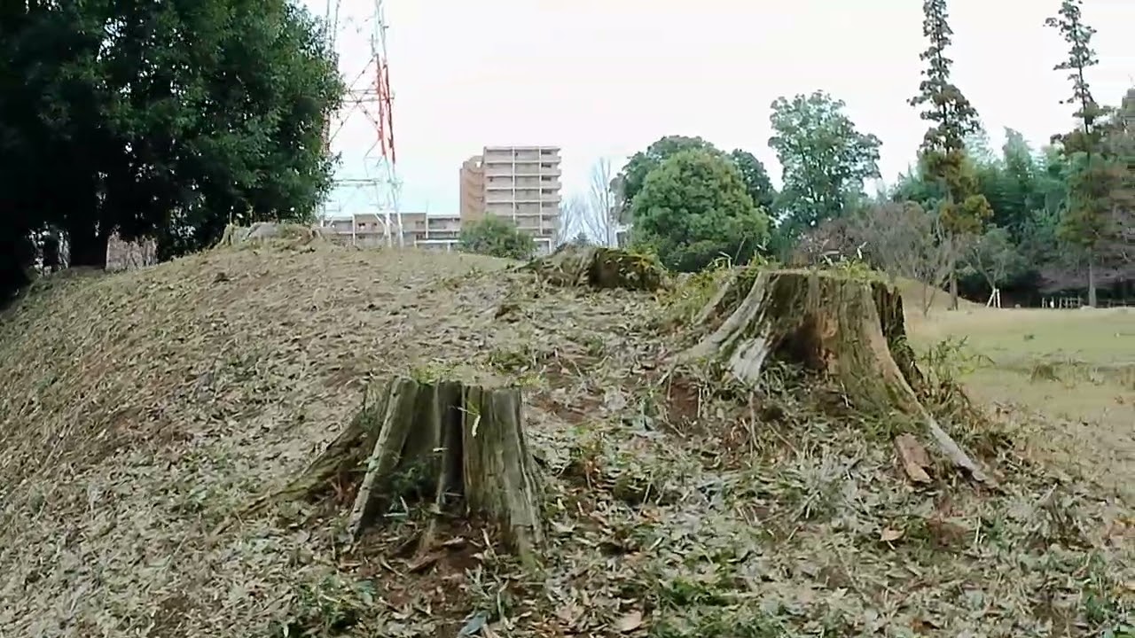千葉県柏市　松ヶ崎城　その２