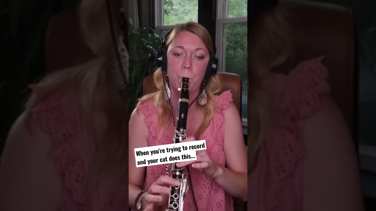 When you're trying to record and your cat does this...