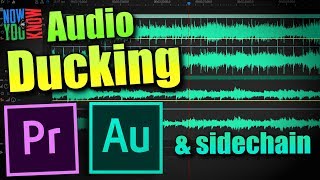 How to use Audio Ducking in Adobe Premiere