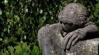 De Nieuwe Ooster Amsterdam