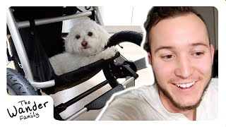 NEW BABY STROLLER!! π Best Jogging + Running Stroller | The Wander Family