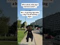 #viral #funny #dance #warning #narcissist #sarcasm #trnding #music #popular