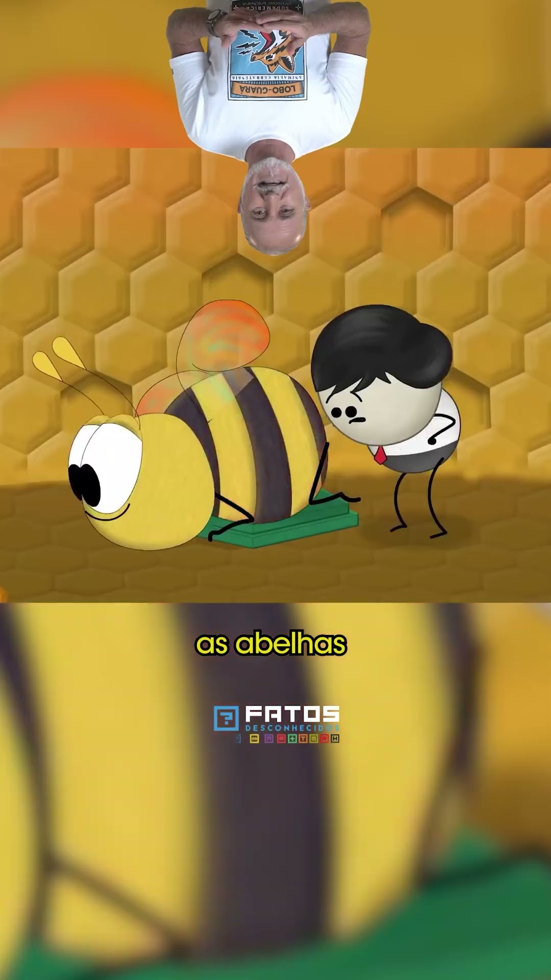 Como as abelhas produzem mel?