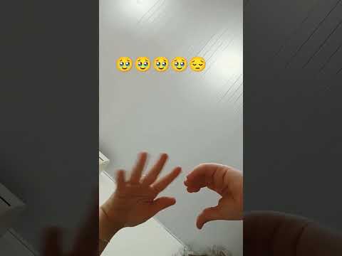 13 de dezembro