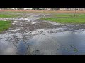 Harrogate Stray flooded. 17th February 2020