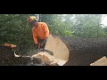 Work in forest_8m³ spurce tree felling