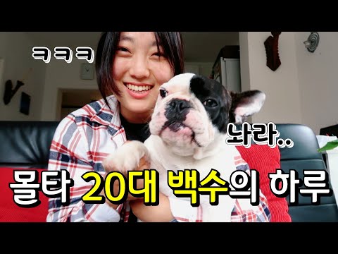 🇲🇹 #16 몰타에서 살고있는 백수의 하루(ft. 밤길 조심하세요😭)
