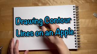 Apple with Contour Lines