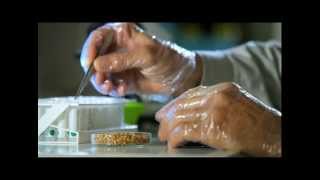GMO PSA Rough Edit