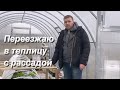 Купили сено/ Посадила картофель 🥔/ Делаем грядки своими руками/Переезд на юг