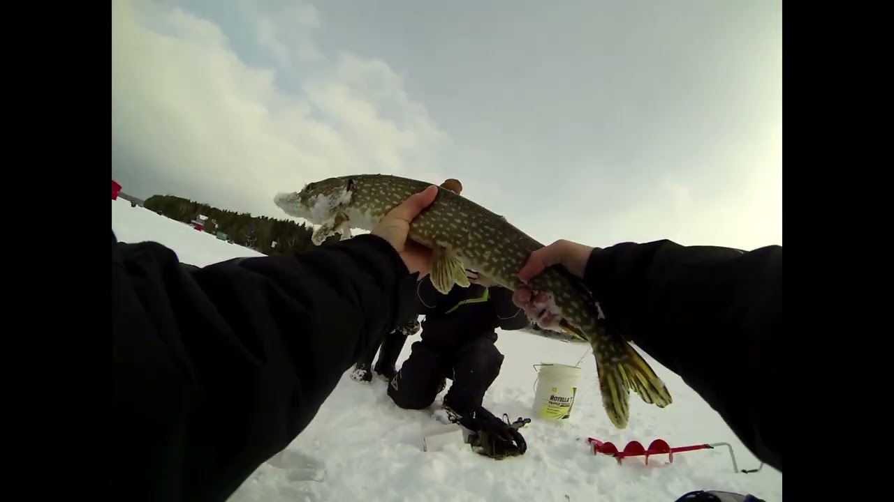 First time on the ice!! Arran lake Pike 