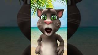 Arkadaşım Eşek Tom