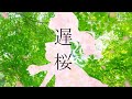 【さとうささら】遅桜【オリジナル曲】