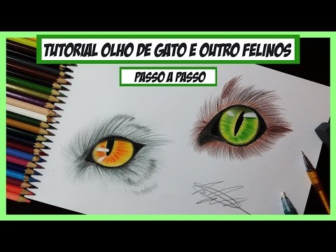 Vídeo: Como Desenhar Olhos De Gatinho