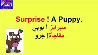 تعلم اللغة الانكليزية مع الاستاذة ايمان- تعلم كلمات وجمل سهلة وكثيرة الاستخدام  قصة الجرو A Puppy