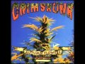 Grimskunk - Footsteps in Loyola - Autumn Flowers Rerolled 1996