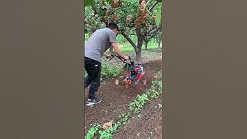 Mini Tiller Machine in Action | Powerful Farming Tool for Easy Soil Preparation part 794