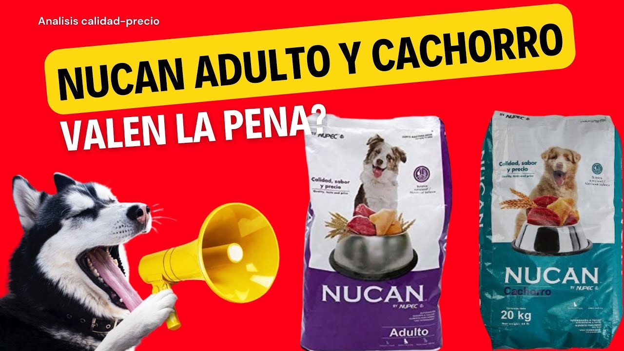 Analisis de Croquetas Nucan Adulto y Cachorro YouTube