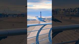 Seagull and Blackpool tower #foryou #viralvideo #blackpool #blackpooltower #viralshorts #fypシ゚viral
